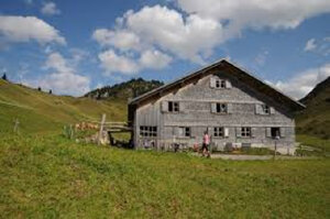 INPUT_SOMMER_Alpe_Batzen