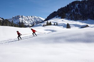 INPUT_WINTER_Langlaufen_in_SchA____nenbach__c__Adolf_Bereuter_-_Bregenzerwald_Tourismus